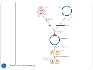 Recombinant DNA Technology
7
 
