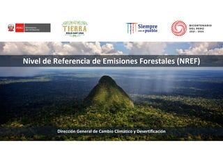 PERÚ LIMPIO
PERÚ NATURAL
Dirección General de Cambio Climático y Desertificación
Nivel de Referencia de Emisiones Forestales (NREF)
 