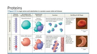 3 - Chemical Composition of the Cell - Part 2 | PDF