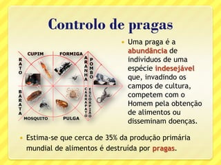 Controlo de pragas
 Uma praga é a
abundância de
indivíduos de uma
espécie indesejável
que, invadindo os
campos de cultura,
competem com o
Homem pela obtenção
de alimentos ou
disseminam doenças.
 Estima-se que cerca de 35% da produção primária
mundial de alimentos é destruída por pragas.
 