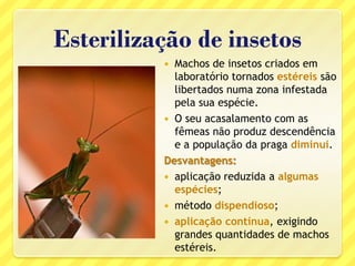 Esterilização de insetos
 Machos de insetos criados em
laboratório tornados estéreis são
libertados numa zona infestada
pela sua espécie.
 O seu acasalamento com as
fêmeas não produz descendência
e a população da praga diminui.
Desvantagens:
 aplicação reduzida a algumas
espécies;
 método dispendioso;
 aplicação contínua, exigindo
grandes quantidades de machos
estéreis.
 