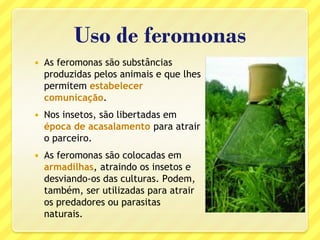  As feromonas são substâncias
produzidas pelos animais e que lhes
permitem estabelecer
comunicação.
 Nos insetos, são libertadas em
época de acasalamento para atrair
o parceiro.
 As feromonas são colocadas em
armadilhas, atraindo os insetos e
desviando-os das culturas. Podem,
também, ser utilizadas para atrair
os predadores ou parasitas
naturais.
Uso de feromonas
 