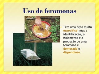 Uso de feromonas
 Tem uma ação muito
específica, mas a
identificação, o
isolamento e a
produção de uma
feromona é
demorado e
dispendioso.
 