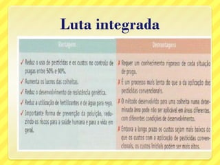 Luta integrada
 