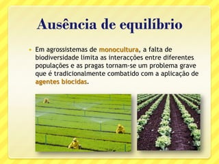 Ausência de equilíbrio
 Em agrossistemas de monocultura, a falta de
biodiversidade limita as interacções entre diferentes
populações e as pragas tornam-se um problema grave
que é tradicionalmente combatido com a aplicação de
agentes biocidas.
 
