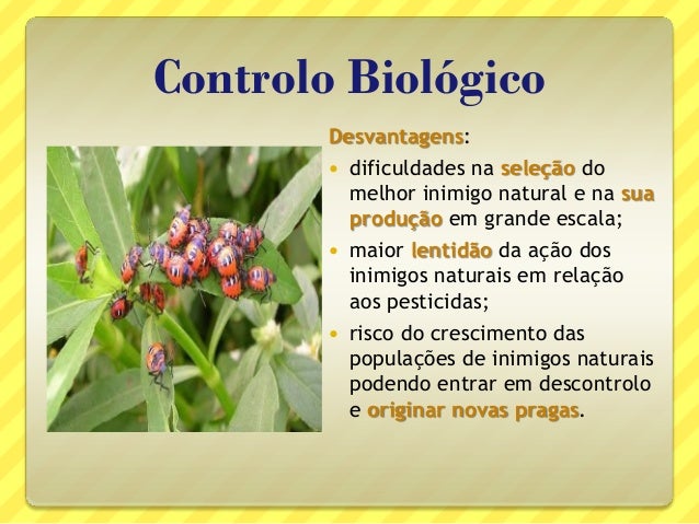 PESTICIDAS NATURAIS PDF DOWNLOAD PESTICIDAS NATURAIS PDF DOWNLOAD