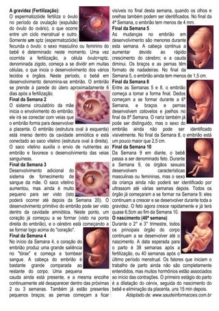 A gravidez (Fertilização):
O espermatozóide fertiliza o óvulo
no período da ovulação (expulsão
do óvulo do ovário), o que ocorre
entre um ciclo menstrual e outro.
Somente um sptz (espermatozóide)
fecunda o óvulo: o sexo masculino ou feminino do
bebê é determinado neste momento. Uma vez
ocorrida a fertilização, a célula óvulo+sptz,
denominada zigoto, começa a se dividir em muitas
células, o que inicia o desenvolvimento dos vários
tecidos e órgãos. Neste período, o bebê em
desenvolvimento denomina-se embrião. O embrião
se prende à parede do útero aproximadamente 6
dias após a fertilização.
Final da Semana 2
O sistema circulatório da mãe
inicia o envolvimento do embrião;
ele irá se conectar com veias que
o embrião forma para desenvolver
a placenta. O embrião (estrutura oval à esquerda)
está imerso dentro da cavidade amniótica e está
conectado ao saco vitelino (estrutura oval à direita).
O saco vitelino auxilia o envio de nutrientes ao
embrião e favorece o desenvolvimento das veias
sanguíneas.
Final da Semana 3
Desenvolvimento adicional do
sistema de fornecimento de
sangue da mãe. O saco vitelino
aumentou, mas ainda é muito
pequeno para ser visto (isto
poderá ocorrer até depois da Semana 20). O
desenvolvimento primitivo do embrião pode ser visto
dentro da cavidade amniótica. Neste ponto, um
coração já começou a se formar (visto na ponta
direita do embrião), e o cérebro está começando a
se formar logo acima do "coração".
Final da Semana 4
No início da Semana 4, o coração do
embrião produz uma grande saliência
no "tórax" e começa a bombear
sangue. A cabeça do embrião é
bastante grande comparada ao
restante do corpo. Uma pequena
cauda ainda está presente, e a mesma encolhe
continuamente até desaparecer dentro das próximas
2 ou 3 semanas. Também já estão presentes
pequenos braços; as pernas começam a ficar
visíveis no final desta semana, quando os olhos e
orelhas também podem ser identificados. No final da
4ª Semana, o embrião tem menos de 4 mm.
Final da Semana 5
As mudanças no embrião em
desenvolvimento são menores durante
esta semana. A cabeça continua a
aumentar devido ao rápido
crescimento do cérebro; e a cauda
diminui. Os braços e as pernas têm
formato de nadadeiras. No final da
Semana 5, o embrião ainda tem menos de 1,5 cm.
Final da Semana 8
Entre as Semanas 5 e 8, o embrião
começa a tomar a forma final. Dedos
começam a se formar durante a 6ª
Semana, e braços e pernas
desenvolvem cotovelos e joelhos no
final da 8ª Semana. O nariz também já
pode ser distinguido, mas o sexo do
embrião ainda não pode ser identificado
visivelmente. No final da Semana 8, o embrião está
um pouco maior que 2,5 cm.
Final da Semana 10
Da Semana 9 em diante, o bebê
passa a ser denominado feto. Durante
a Semana 9, os órgãos sexuais
desenvolvem características
masculinas ou femininas, mas o sexo
da criança ainda não poderá ser identificado por
ultrassom até várias semanas depois. Todos os
órgão já começaram a se formar na Semana 9; eles
continuam a crescer e se desenvolver durante toda a
gravidez. O feto agora cresce rapidamente e já terá
quase 6,5cm ao fim da Semana 10.
O nascimento (40ª semana)
Durante o 2° e 3° trimestre, todos
os principais órgão do corpo
continuam a se desenvolver até o
nascimento. A data esperada para
o parto é 38 semanas após a
fertilização, ou 40 semanas após o
último período menstrual. Os fatores que iniciam o
trabalho de parto ainda não são completamente
entendidos, mas muitos hormônios estão associados
ao início das contrações. O primeiro estágio do parto
é a dilatação do cérvix, seguida do nascimento do
bebê e eliminação da placenta, uns 15 min depois.
Adaptado de: www.saudeinformacoes.com.br
 