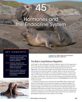 993
45
Hormones and
the Endocrine System
The Body’s Long-Distance Regulators
Although we often distinguish animals of different species by their appearance,
in many species the females and males look quite different from each other.
Such is the case for the elephant seals (Mirounga angustirostris) shown in
Figure 45.1. The male is much larger than the female, and only he has the promi-
nent proboscis for which the species is named. Males are also far more territo-
rial and aggressive than females. A sex-determining gene on the Y chromosome
makes a seal embryo male. But how does the presence of this gene lead to male
size, shape, and behavior? The answer to this and many other questions about bi-
ological processes involves signaling molecules called hormones (from the Greek
horman, to excite).
In animals, hormones are secreted into the extracellular fluid, circulate in the
blood (or hemolymph), and communicate regulatory messages throughout the
body. In the case of the elephant seal, increased secretion of particular hormones
at puberty triggers sexual maturation, as well as the accompanying changes that
distinguish adult females and males. Hormones influence much more than sex and
reproduction, however. For example, when seals, humans, and other mammals are
stressed, are dehydrated, or have low blood sugar levels, hormones coordinate the
physiological responses that restore balance in our bodies.
▲ Figure 45.1 What makes male and female
elephant seals look so different?
993
K E Y C O N C E P T S
45.1 Hormones and other signaling
molecules bind to target
receptors, triggering specific
response pathways
45.2 Feedback regulation and
coordination with the nervous
system are common in
endocrine signaling
45.3 Endocrine glands respond to
diverse stimuli in regulating
homeostasis, development,
and behavior
◀ Male elephant seals sparring
 