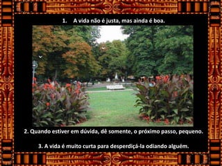 1.   A vida não é justa, mas ainda é boa.




2. Quando estiver em dúvida, dê somente, o próximo passo, pequeno.

     3. A vida é muito curta para desperdiçá-la odiando alguém.
 