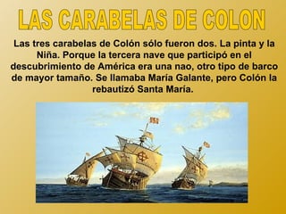 Las tres carabelas de Colón sólo fueron dos. La pinta y la
      Niña. Porque la tercera nave que participó en el
descubrimiento de América era una nao, otro tipo de barco
de mayor tamaño. Se llamaba María Galante, pero Colón la
                  rebautizó Santa María.
 