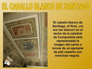 El caballo blanco de
Santiago, al final, ¡no
 era tan blanco! en el
 techo de la catedral
 de Compostela esta
    representada la
  imagen del santo a
lomos de un ejemplar
 de piel castaña con
   manchas negras.
 
