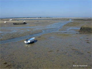 Baie de Plouharnel
 