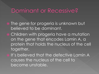 Dominant or Recessive?
 The gene for progeria is unknown but
believed to be dominant.
 Children with progeria have a mutation
on the gene that encodes Lamin A, a
protein that holds the nucleus of the cell
together.
 It’s believed that the defective Lamin A
causes the nucleus of the cell to
become unstable.
 