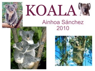 KOALA Ainhoa Sánchez 2010 