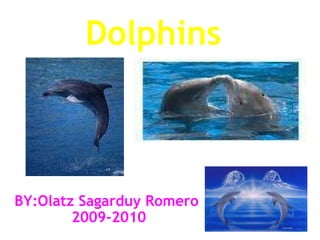 Dolphins BY:Olatz Sagarduy Romero  2009-2010 