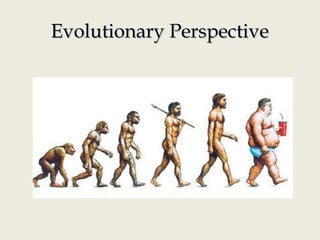 Evolutionary PerspectiveEvolutionary Perspective
 