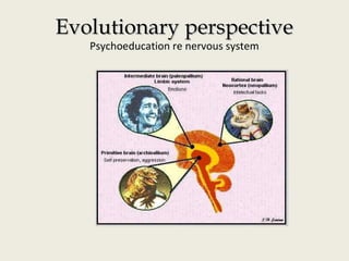 Evolutionary perspectiveEvolutionary perspective
Psychoeducation re nervous system
 