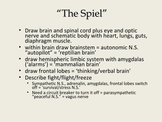 ““The Spiel”The Spiel”
• Draw brain and spinal cord plus eye and optic
nerve and schematic body with heart, lungs, guts,
diaphragm muscle.
• within brain draw brainstem = autonomic N.S.
“autopilot” = ‘reptilian brain’
• draw hemispheric limbic system with amygdalas
(‘alarms’) = ‘mammalian brain’
• draw frontal lobes = ‘thinking/verbal brain’
• Describe fight/flight/freeze
• Sympathetic N.S., adrenalin, amygdalas, frontal lobes switch
off = ‘survival/stress N.S.’
• Need a circuit breaker to turn it off = parasympathetic
“peaceful N.S.” = vagus nerve
 