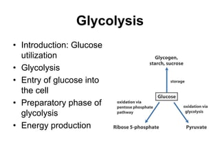 Glycolysis
• Introduction: Glucose
utilization
• Glycolysis
• Entry of glucose into
the cell
• Preparatory phase of
glycolysis
• Energy production
 