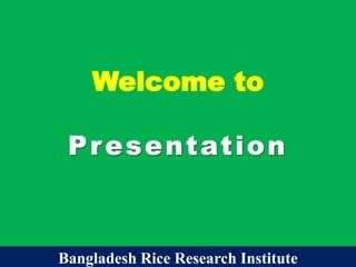 Welcome to
Presentation
Bangladesh Rice Research Institute
 