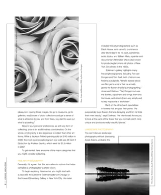 Collecting Photography | PDF