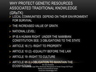 WHY PROTECT GENETIC RESOURCES
ASSOCIATED TRADITIONAL KNOWLEDGE
(GRaTK)
 LOCAL COMMUNITIES DEPEND ON THEIR ENVIRONMENT
FOR SURVIVAL
 THE INCREASED VALUE OF GRATK
 NATIONAL LEVEL:
 IP IS A HUMAN RIGHT UNDER THE NAMIBIAN
CONSTITUTION SEE: 3 OBLIGATIONS TO THE STATE
 ARTICLE 16 (1)- RIGHT TO PROPERTY
 ARTICLE 10 (2) -EQUALITY BEFORE THE LAW
 ARTICLE 19 -RIGHT TO CULTURE
 ARTICLE 95 (L)-OBLIGATION TO MAINTAIN THE
ECOSYSTEMS
Ms. Elize Shakalela
Environmental Legal Officer Biodiversity Management & Climate Change GIZ-Project
Ministry of Environment & Tourism
Email:elize.shakalela@giz.de ©
 