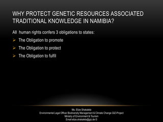 WHY PROTECT GENETIC RESOURCES ASSOCIATED
TRADITIONAL KNOWLEDGE IN NAMIBIA?
All human rights confers 3 obligations to states:
 The Obligation to promote
 The Obligation to protect
 The Obligation to fulfil
Ms. Elize Shakalela
Environmental Legal Officer Biodiversity Management & Climate Change GIZ-Project
Ministry of Environment & Tourism
Email:elize.shakalela@giz.de ©
 