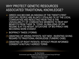 WHY PROTECT GENETIC RESOURCES
ASSOCIATED TRADITIONAL KNOWLEDGE?
 GREED HAS BECOME AN INSIGNIA OF THE TWENTY-FIRST
CENTURY, PEOPLE ARE BLUNTLY STEALING TK OF THE LOCAL
COMMUNITIES AND RESULTING FROM THIS IS THE
UNAVAILABILITY OF COMMUNITIES MEMBERS TO REAP ANY
BENEFITS FROM THEIR TK. TODAY, GLOBALIZING OF IPR
REGIME IS AT ITS HEIGHT, SITUATIONS OF BIO-PIRACY ARE
BECOMING MORE EVIDENT.
 BIOPIRACY TAKES 2 FORMS:
(1) GRANTING OF WRONG PATENTS: NOT NEW ; INVENTING GIVING
REGARD TO TRADITIONAL KNOWLEDGE (TUMERIC CASE)
(2) GRANTING OF RIGHT PATENTS: WITHOUT PRIOR INFORMED
CONSENT & MUTUALY AGREED TERMS
Ms. Elize Shakalela
Environmental Legal Officer Biodiversity Management & Climate Change GIZ-Project
Ministry of Environment & Tourism
Email:elize.shakalela@giz.de ©
 