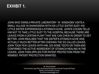 EXHIBIT 1.
JOHN WHO OWNS A PRIVATE LABORATORY IN WINDHOEK VISITS A
SMALL VILLAGE IN OHANGWENA WITH HIS LITTLE SISTER SUZY. HIS
LITTLE SISTER EXPERIENCES A STOMACH ACHE, JOHN'S COUSIN TELLS
HIM NOT TO TAKE LITTLE SUZY TO THE HOSPITAL BECAUSE THERE ARE
LEAVES FROM A CERTAIN PLANT THAT SHE CAN CHEW IN ORDER TO GET
BETTER. JOHN REALISED THAT THE SISTER’S STOMACH ACHE WAS
ACTUALLY MUCH BETTER AFTER CHEWING THE SO CALLED LEAVES.
JOHN TOOK FEW LEAVES WITH HIM, DID SOME TESTS ON THEM AND
CONFIRMED THE ACTIVE INGREDIENT OF STOMACH HEALING IN THE
LEAVES. JOHN THEN APPLIED FOR PATENT PROTECTION FROM THE
MISME&T. PATENT PROTECTION GRANTED.
Ms. Elize Shakalela
Environmental Legal Officer Biodiversity Management & Climate Change GIZ-Project
Ministry of Environment & Tourism
Email:elize.shakalela@giz.de ©
 
