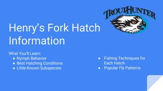 Henry’s Fork Hatch
Information
What You’ll Learn:
● Nymph Behavior
● Best Hatching Conditions
● Little-Known Subspecies
● Fishing Techniques for
Each Hatch
● Popular Fly Patterns
 