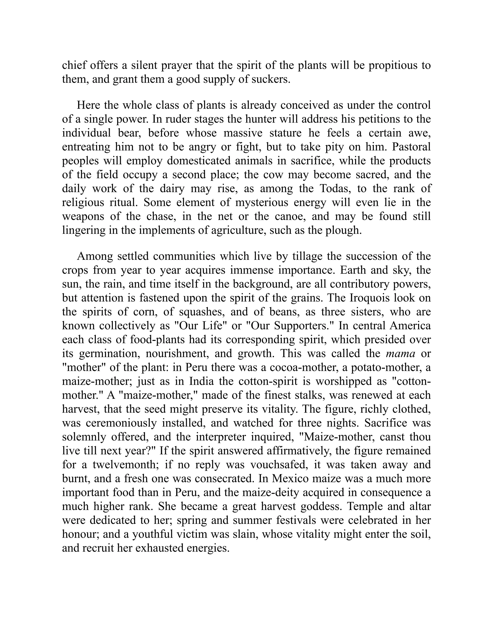 chief offers a silent prayer that the spirit of the plants will be propitious to
them, and grant them a good supply of suckers.
Here the whole class of plants is already conceived as under the control
of a single power. In ruder stages the hunter will address his petitions to the
individual bear, before whose massive stature he feels a certain awe,
entreating him not to be angry or fight, but to take pity on him. Pastoral
peoples will employ domesticated animals in sacrifice, while the products
of the field occupy a second place; the cow may become sacred, and the
daily work of the dairy may rise, as among the Todas, to the rank of
religious ritual. Some element of mysterious energy will even lie in the
weapons of the chase, in the net or the canoe, and may be found still
lingering in the implements of agriculture, such as the plough.
Among settled communities which live by tillage the succession of the
crops from year to year acquires immense importance. Earth and sky, the
sun, the rain, and time itself in the background, are all contributory powers,
but attention is fastened upon the spirit of the grains. The Iroquois look on
the spirits of corn, of squashes, and of beans, as three sisters, who are
known collectively as "Our Life" or "Our Supporters." In central America
each class of food-plants had its corresponding spirit, which presided over
its germination, nourishment, and growth. This was called the mama or
"mother" of the plant: in Peru there was a cocoa-mother, a potato-mother, a
maize-mother; just as in India the cotton-spirit is worshipped as "cotton-
mother." A "maize-mother," made of the finest stalks, was renewed at each
harvest, that the seed might preserve its vitality. The figure, richly clothed,
was ceremoniously installed, and watched for three nights. Sacrifice was
solemnly offered, and the interpreter inquired, "Maize-mother, canst thou
live till next year?" If the spirit answered affirmatively, the figure remained
for a twelvemonth; if no reply was vouchsafed, it was taken away and
burnt, and a fresh one was consecrated. In Mexico maize was a much more
important food than in Peru, and the maize-deity acquired in consequence a
much higher rank. She became a great harvest goddess. Temple and altar
were dedicated to her; spring and summer festivals were celebrated in her
honour; and a youthful victim was slain, whose vitality might enter the soil,
and recruit her exhausted energies.
 