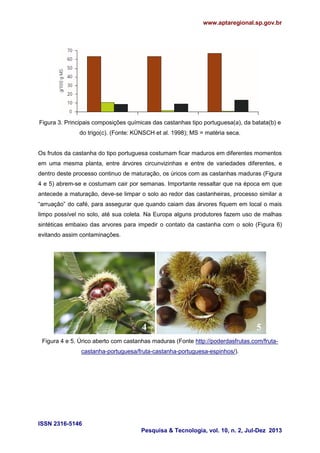 www.aptaregional.sp.gov.br

Figura 3. Principais composições químicas das castanhas tipo portuguesa(a), da batata(b) e
do trigo(c). (Fonte: KÜNSCH et al. 1998); MS = matéria seca.

Os frutos da castanha do tipo portuguesa costumam ficar maduros em diferentes momentos
em uma mesma planta, entre árvores circunvizinhas e entre de variedades diferentes, e
dentro deste processo continuo de maturação, os úricos com as castanhas maduras (Figura
4 e 5) abrem-se e costumam cair por semanas. Importante ressaltar que na época em que
antecede a maturação, deve-se limpar o solo ao redor das castanheiras, processo similar a
“arruação” do café, para assegurar que quando caiam das árvores fiquem em local o mais
limpo possível no solo, até sua coleta. Na Europa alguns produtores fazem uso de malhas
sintéticas embaixo das arvores para impedir o contato da castanha com o solo (Figura 6)
evitando assim contaminações.

4

5

Figura 4 e 5. Úrico aberto com castanhas maduras (Fonte http://poderdasfrutas.com/frutacastanha-portuguesa/fruta-castanha-portuguesa-espinhos/).

ISSN 2316-5146
Pesquisa & Tecnologia, vol. 10, n. 2, Jul-Dez 2013

 
