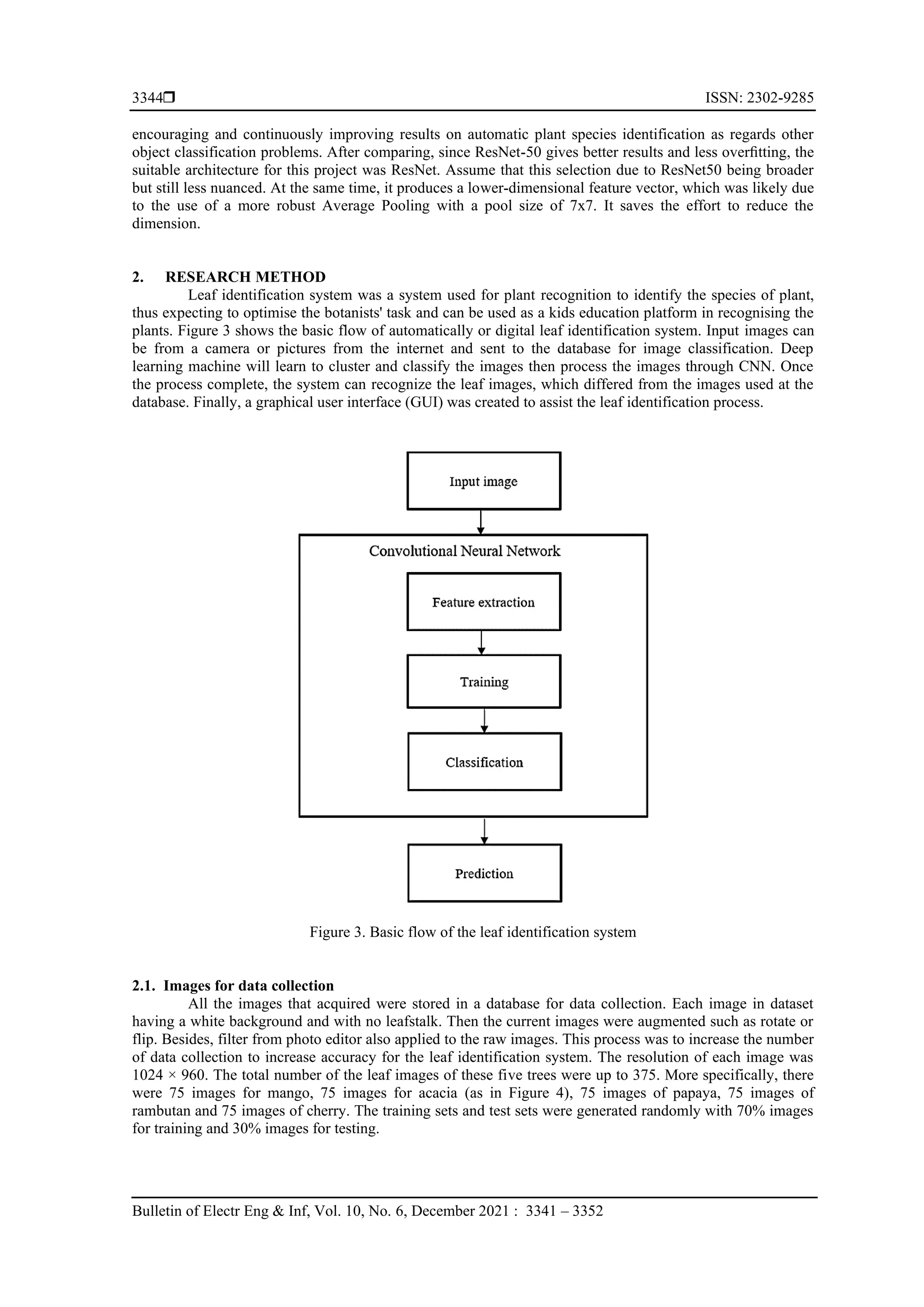  ISSN: 2302-9285
Bulletin of Electr Eng & Inf, Vol. 10, No. 6, December 2021 : 3341 – 3352
3344
encouraging and continuously improving results on automatic plant species identification as regards other
object classification problems. After comparing, since ResNet-50 gives better results and less overﬁtting, the
suitable architecture for this project was ResNet. Assume that this selection due to ResNet50 being broader
but still less nuanced. At the same time, it produces a lower-dimensional feature vector, which was likely due
to the use of a more robust Average Pooling with a pool size of 7x7. It saves the effort to reduce the
dimension.
2. RESEARCH METHOD
Leaf identification system was a system used for plant recognition to identify the species of plant,
thus expecting to optimise the botanists' task and can be used as a kids education platform in recognising the
plants. Figure 3 shows the basic flow of automatically or digital leaf identification system. Input images can
be from a camera or pictures from the internet and sent to the database for image classification. Deep
learning machine will learn to cluster and classify the images then process the images through CNN. Once
the process complete, the system can recognize the leaf images, which differed from the images used at the
database. Finally, a graphical user interface (GUI) was created to assist the leaf identification process.
Figure 3. Basic flow of the leaf identification system
2.1. Images for data collection
All the images that acquired were stored in a database for data collection. Each image in dataset
having a white background and with no leafstalk. Then the current images were augmented such as rotate or
flip. Besides, filter from photo editor also applied to the raw images. This process was to increase the number
of data collection to increase accuracy for the leaf identification system. The resolution of each image was
1024 × 960. The total number of the leaf images of these five trees were up to 375. More specifically, there
were 75 images for mango, 75 images for acacia (as in Figure 4), 75 images of papaya, 75 images of
rambutan and 75 images of cherry. The training sets and test sets were generated randomly with 70% images
for training and 30% images for testing.
 
