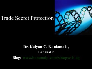 Trade Secret ProtectionTrade Secret Protection
Dr. Kalyan C. Kankanala,
BananaIP
Blog: www.bananaip.com/sinapse-blog
 