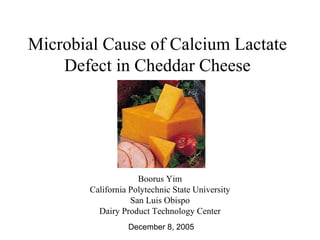 Microbial Cause of Calcium Lactate Defect in Cheddar Cheese Boorus Yim California Polytechnic State University San Luis Obispo Dairy Product Technology Center December 8, 2005 