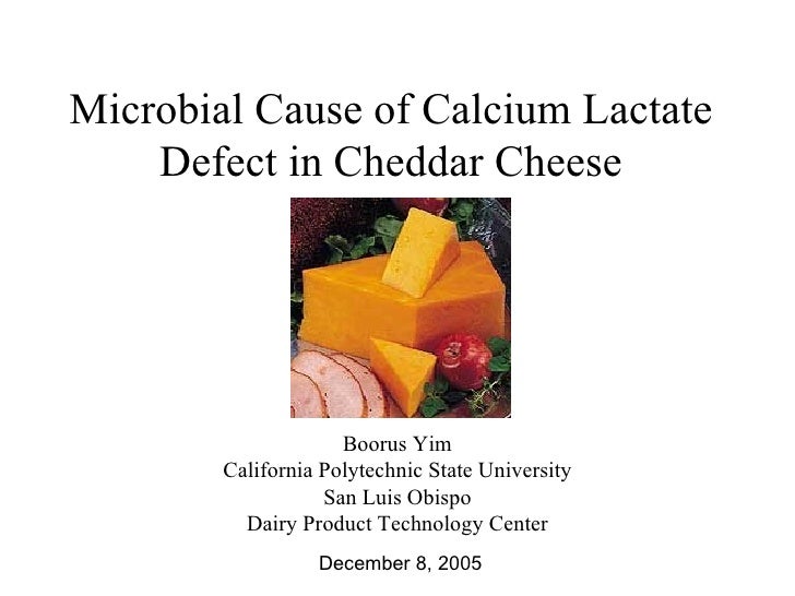 Microbial Cause of Calcium Lactate Defect in Cheddar Cheese