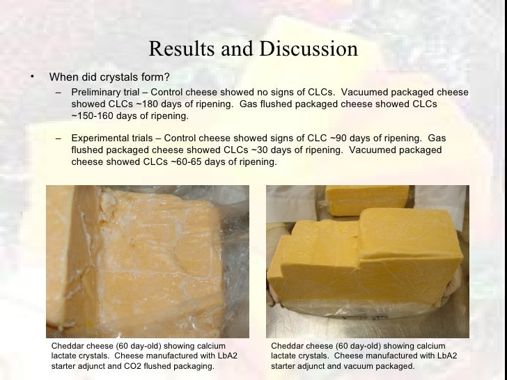 Microbial Cause of Calcium Lactate Defect in Cheddar Cheese