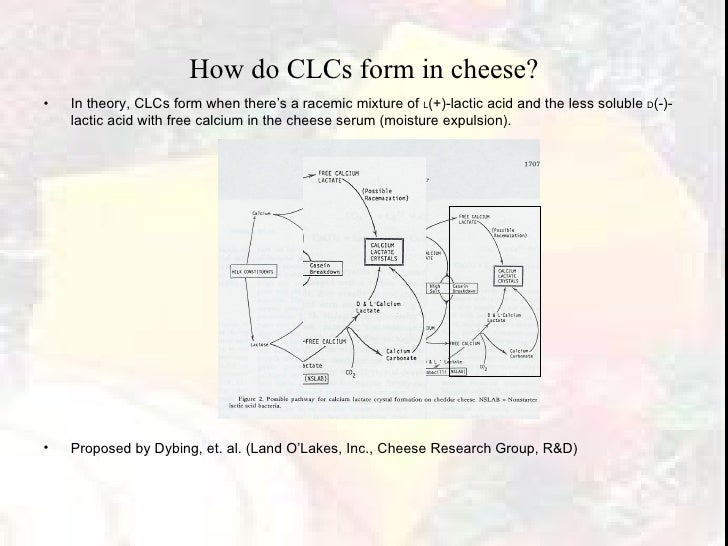 Microbial Cause of Calcium Lactate Defect in Cheddar Cheese