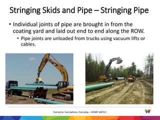 WGM Pipeline Project Orientation | PDF