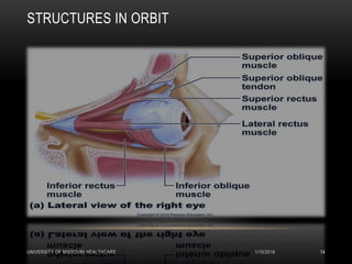 STRUCTURES IN ORBIT
1/10/2016UNIVERSITY OF MISSOURI HEALTHCARE 14
 