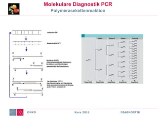 ONKO Kurs 2011 DIAGNOSTIK
Molekulare Diagnostik PCR
Polymerasekettenreaktion
 