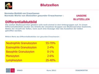 ONKO Kurs 2011 DIAGNOSTIK
Blutzellen
UNSERE
BLUTZELLEN
Normales Blutbild von Erwachsenen
Normale Werte von Blutzellen gesunder Erwachsener :
Differentialblutbild
Die weißen Blutkörperchen gliedern sich noch einmal in drei Untergruppen auf. In einem
Differentialblutbild werden die Anteile der einzelnen Gruppen von Blutkörperchen bestimmt.
Neben der Anzahl der Zellen, kann auch eine Aussage über das Aussehen der Zellen
getroffen werden.
Mittlere Werte des Differentialblutbildes von gesunden Erwachsenen :
Neutrophile Granulozyten 55-70%
Eosinophile Granulozyten 2-4%
Basophile Granulozyten 0-1%
Monozyten 2-6%
Lymphozyten 25-40%
 