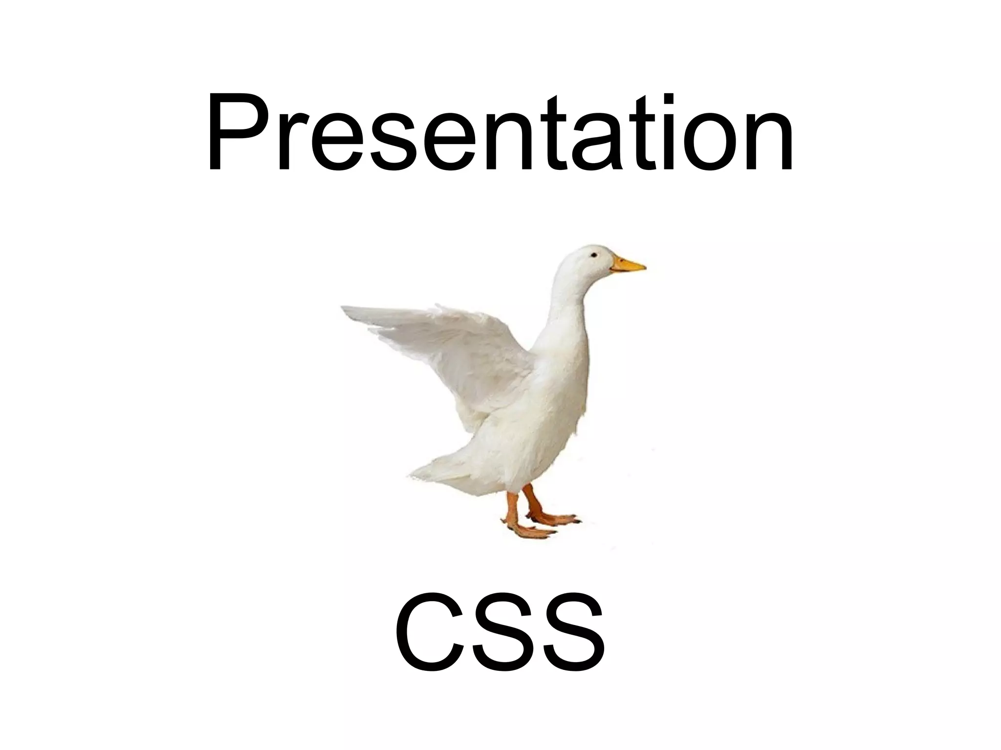 Presentation CSS 