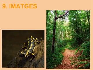 9. IMATGES 