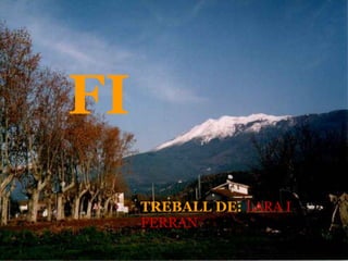 FI TREBALL DE:   LARA I FERRAN 