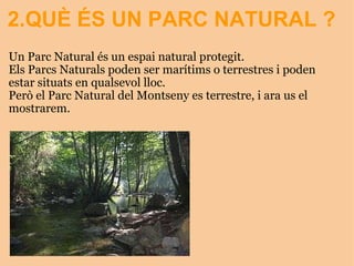 2.QUÈ ÉS UN PARC NATURAL   ? Un Parc Natural és un espai natural protegit. Els Parcs Naturals poden ser marítims o terrestres i poden estar situats en qualsevol lloc. Però el Parc Natural del Montseny es terrestre, i ara us el mostrarem.    