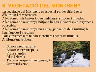 6. VEGETACIÓ DEL MONTSENY   La vegetació del Montseny es especial per les diferències d'humitat i temperatura. A les zones més baixes trobem alzinars, suredes i pinedes. A les zones de muntanya mitjana hi han alzinars muntanyencs i rouredes. A les zones de muntanya més alta, (per sobre dels 1000m) hi han fagedes i avetoses. I als cims més alts hi han matollars i prats culminalts. Al Montseny trobem :   Boscos mediterranis Boscos centreuropeus Prats i landes Rius i rierols Tarteres, esqueis i penya-segats Conreus i erms 