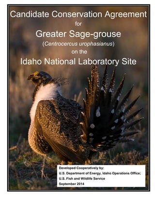 Developed Cooperatively by:
U.S. Department of Energy, Idaho Operations Office;
U.S. Fish and Wildlife Service
September 2014
Candidate Conservation Agreement
for
Greater Sage-grouse
(Centrocercus urophasianus)
on the
Idaho National Laboratory Site
 