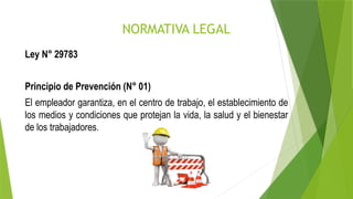 NORMATIVA LEGAL
Ley N° 29783
Principio de Prevención (N° 01)
El empleador garantiza, en el centro de trabajo, el establecimiento de
los medios y condiciones que protejan la vida, la salud y el bienestar
de los trabajadores.
 