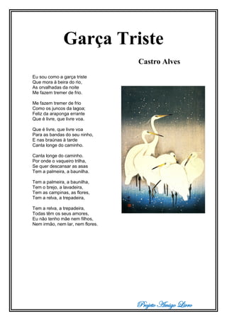 Projeto Amigo Livro
Garça Triste
Castro Alves
Eu sou como a garça triste
Que mora à beira do rio,
As orvalhadas da noite
Me fazem tremer de frio.
Me fazem tremer de frio
Como os juncos da lagoa;
Feliz da araponga errante
Que é livre, que livre voa.
Que é livre, que livre voa
Para as bandas do seu ninho,
E nas braúnas à tarde
Canta longe do caminho.
Canta longe do caminho.
Por onde o vaqueiro trilha,
Se quer descansar as asas
Tem a palmeira, a baunilha.
Tem a palmeira, a baunilha,
Tem o brejo, a lavadeira,
Tem as campinas, as flores,
Tem a relva, a trepadeira,
Tem a relva, a trepadeira,
Todas têm os seus amores,
Eu não tenho mãe nem filhos,
Nem irmão, nem lar, nem flores.
 